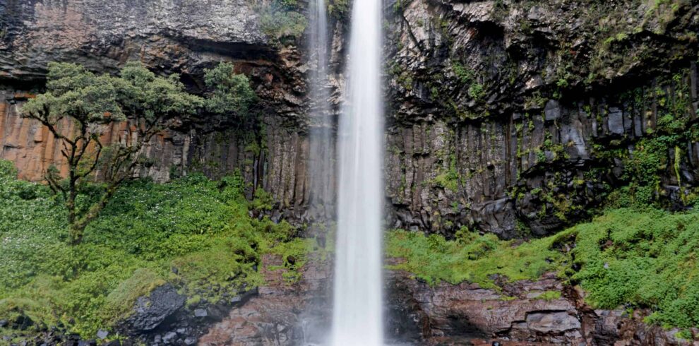 Aberdares National Park