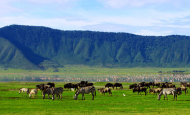 3 Days Lake Manyara And Ngorongoro Crater