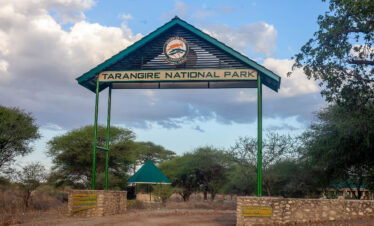 7 Days 6 Nights Tarangire, Ngorongoro, Serengeti, Manyara
