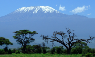 11 Days Amboseli, Tsavo West, Mt kenya, Samburu, Nakuru and Masai Mara